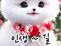 ♧5월 19일 월욜 출석부♧