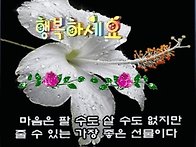 ☆5월 18일 월욜 출석부☆