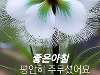 ♧5월 29일 목욜 출석부♧