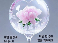 ♡11월 4일 월욜 출석부♡