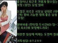 ﻿날보..
