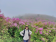 보성 일림산 2