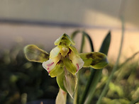 난실에 꽃이 봄을 알리네요