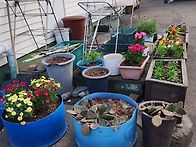 부활맞이봄꽃이활짝