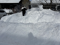 실차 바꿈~! (자랑)