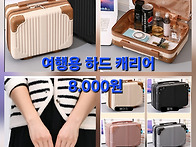 미니 하드 케리어