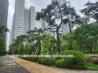7월 23일 부동산정책(세제..
