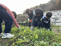 무 농사 라기엔 ..