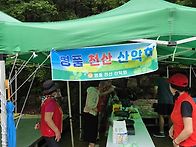 제 193次 제천 사시리계곡..