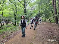 제194차 홍천 미약골 트레..