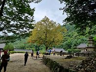 제190차 용문산 사나사계곡