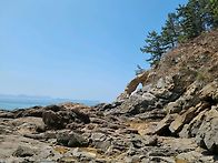 제186차 원산도 오로봉