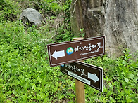 제187차 치악산 둘레길5코스