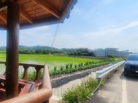 고향 친구네 작은 정원