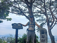 523 폼생폼사