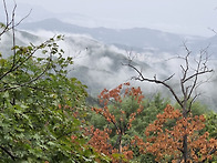 천마산 산행