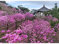 제 404차 정기산행 /20..