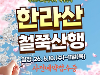 2026년 6월10일(수)~11..