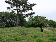 통영 우도 연화도에서 세번..