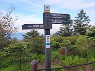 제386차 정기산행/ 202..