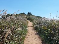 장흥 천관산 산행~