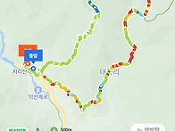 지리산 의신 작은세개골 ..