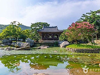 제408차 정기산행/ 202..