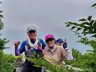 완도 보길도