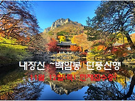 제415차 정기산행/ 202..