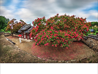 충곡서원
