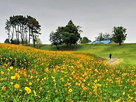 동화정원(곡성)