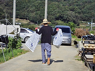 전성훈, 직장(딸기..