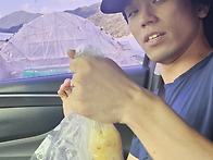 전성훈, 직장(딸기..