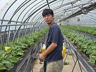 전성훈, 직장(딸기..