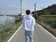 전성훈, 직장(딸기..