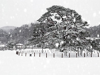 그곳에 가면...(화령 반송..