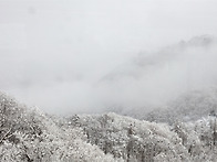 그곳에 가면...(홋카이도 ..