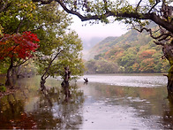 주산지의 가을은...