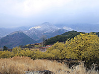 그곳에 가면...(구례 만복..