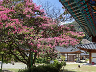 단청과 함께