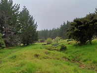 2025.10.02 Muriwai..