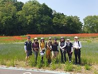260516(토) 남양주 황금산