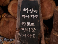 11/17(일) 정기산행 장태..