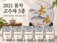 2021년 봄 고수차 소분 5..