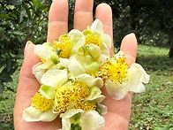 2025년 노반장 가을차 상..