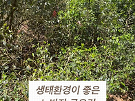 26년 노반장국유림 고수차..