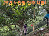 26년 노반장 단주 공구