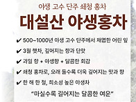 대설산 야생홍차/천가채야..