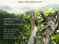 [추석이벤트] 2021년 파달..