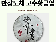 2026 반장노채 고수황금엽..